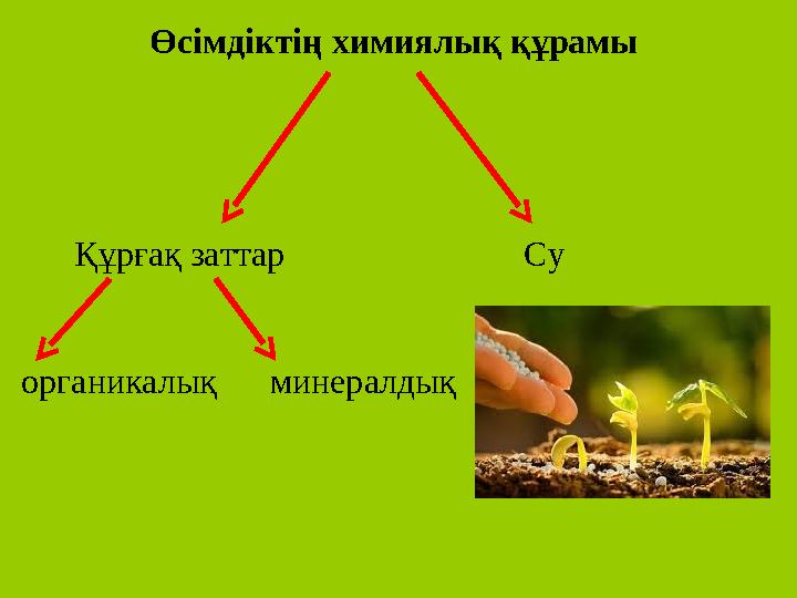 Өсімдіктің химиялық құрамы Құрғақ заттар Су органикалық минералдық