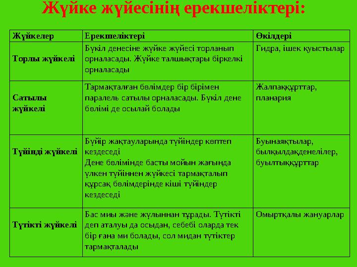 Жүйке жүйесінің ерекшеліктері: Жүйкелер Ерекшеліктері Өкілдері Торлы жүйкелі Бүкіл денесіне жүйке жүйесі торланып орналасад