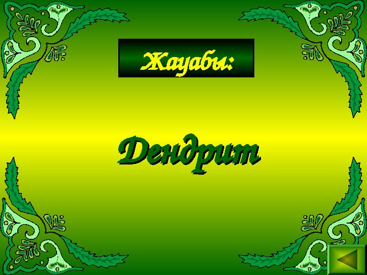 Жауабы: ДендритДендрит