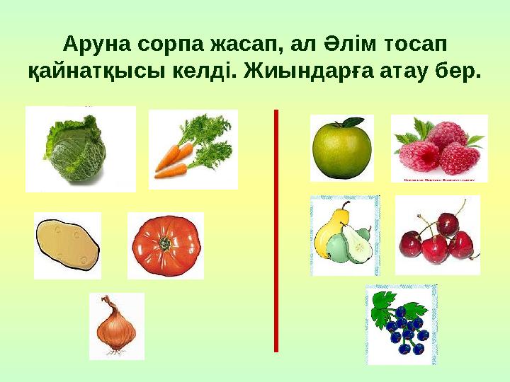 Аруна сорпа жасап, ал Әлім тосап қайнатқысы келді. Жиындарға атау бер.