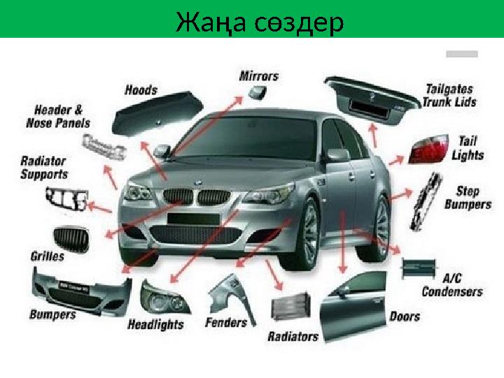 Жаңа сөздер