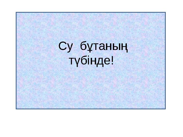 2.Жаңбыр жауып тұрғанда қоян қай бұтаның арасында отырады?Су бұтаның түбінде!