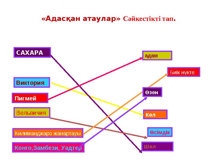 «Адасқан атаулар» Сәйкестікті тап . Виктория КөлСАХАРА ШөлПигмей адам Вельвичия Өсімдік Килиманджаро жанартауы Биік нүкте Кон