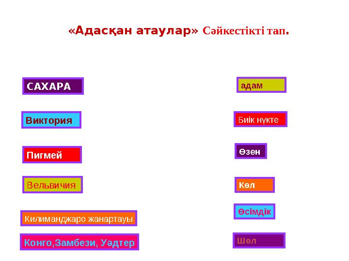 «Адасқан атаулар» Сәйкестікті тап . Виктория КөлСАХАРА ШөлПигмей адам Вельвичия Өсімдік Килиманджаро жанартауы Биік нүкте Кон