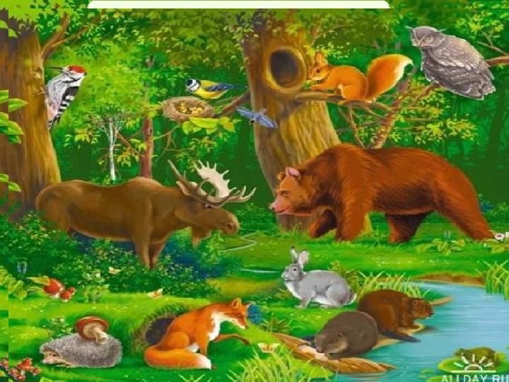 ҚорытындыҚорытынды