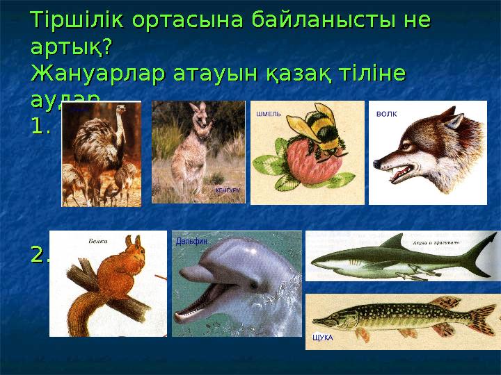 Тіршілік ортасына байланысты не Тіршілік ортасына байланысты не артық?артық? Жануарлар атауын қазақ тіліне Жануарлар атауын қаз
