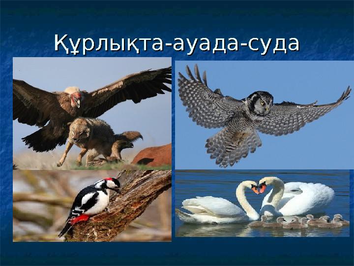 Құрлықта-ауада-судаҚұрлықта-ауада-суда