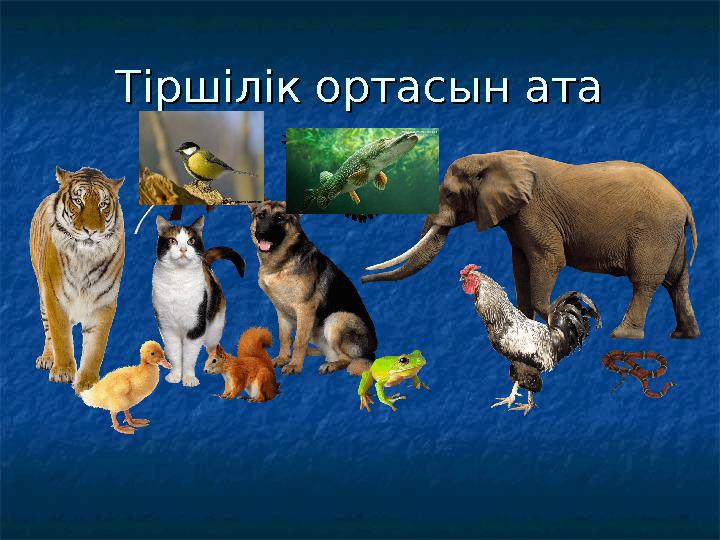 Тіршілік ортасын атаТіршілік ортасын ата
