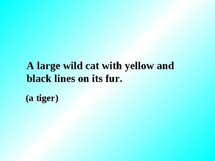 A large wild cat with yellow and black lines on its fur. (a tiger)
