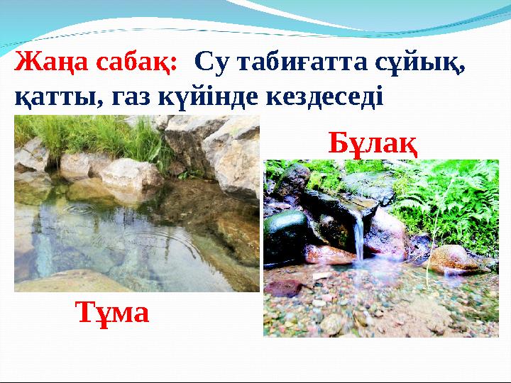 Жаңа сабақ: Су табиғатта сұйық, қатты, газ күйінде кездеседі Тұма Бұлақ
