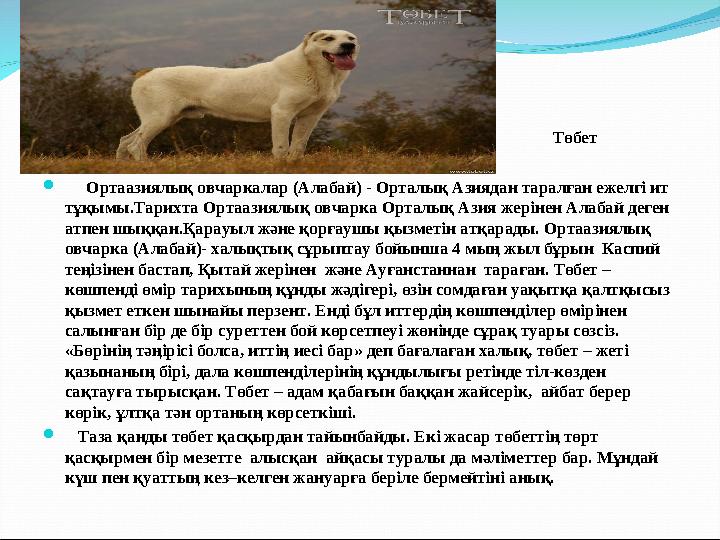 Үлкен бөкседегі спортшының порносы