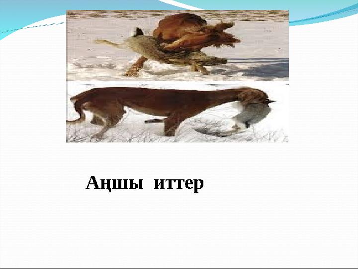 Орыс порно: қызметші мен қожайын