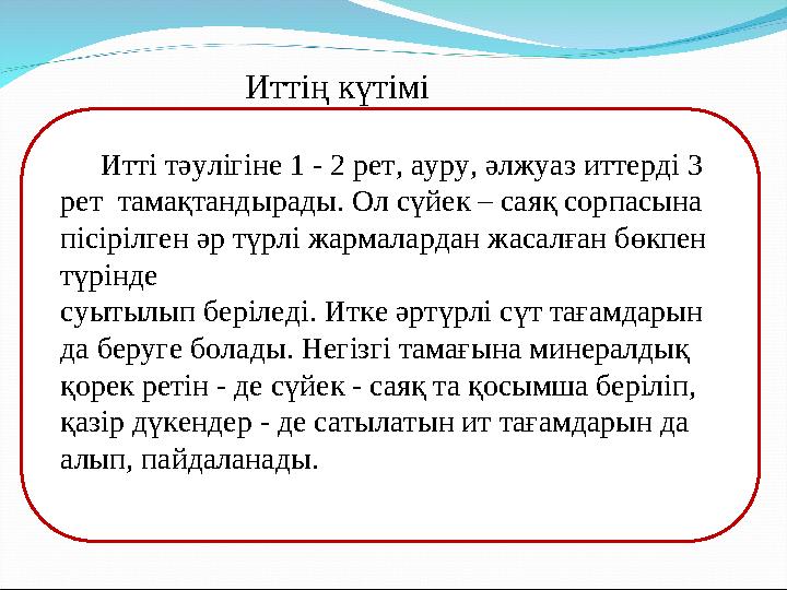 Итті тәулігіне 1 - 2 рет, ауру, әлжуаз иттерді 3 рет тамақтандырады. Ол сүйек – саяқ со