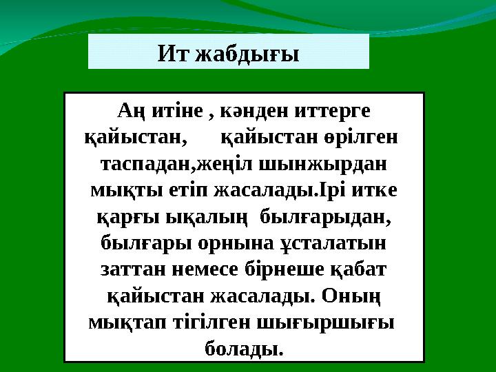 Аң итіне , кәнден иттерге қайыстан, қайыстан өрілген таспадан,жеңіл шынжырдан мықты етіп жасалады.Ірі итке қарғы ықалы