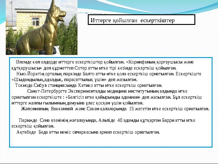Иттердің жігіттермен жыныстық қатынасы Иттердің жігіттермен жыныстық қатынасы