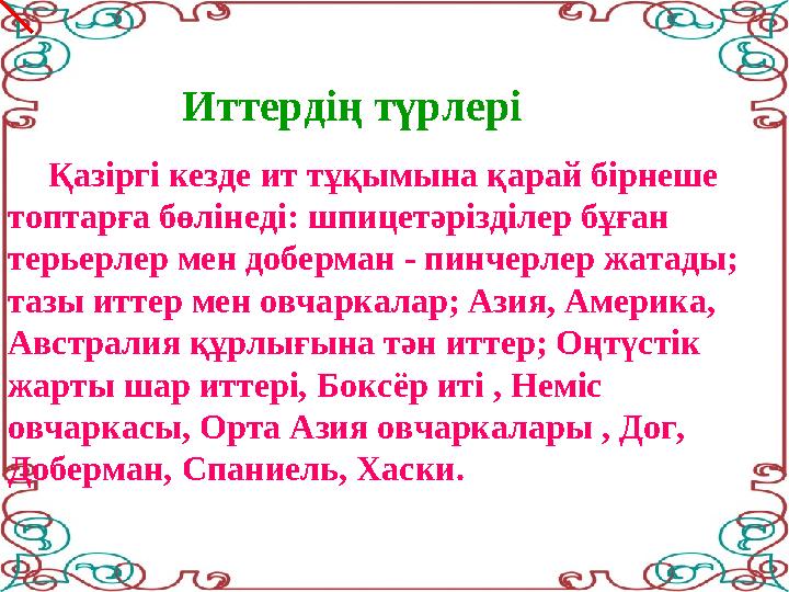 Иттердің түрлері Қазіргі кезде ит тұқымына қарай бірнеше топтарға бөлінеді: шпицетәрізділер бұған терьерлер мен до