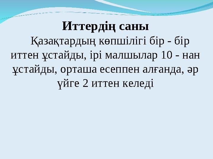 Иттердің саны Қазақтардың көпшілігі бір - бір иттен ұстайды, ірі малшылар 10 - нан ұстайды, орташа есеппен алғанда, әр үйг