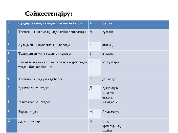 1 Гүлдің барлық бөлімдер бекінетін бөлімі А Күлте 2 Тостағанша жапырақшадан кейін орналасады Ә гүлтабан 3 Аузы,мойны және жатыны