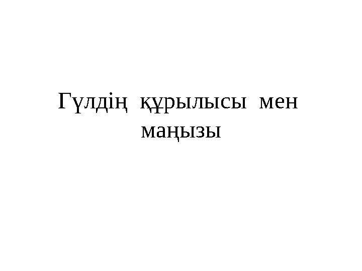 Гүлдің құрылысы мен маңызы