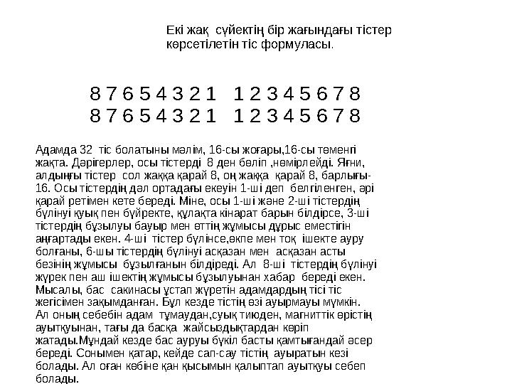 Екі жақ сүйектің бір жағындағы тістер көрсетілетін тіс формуласы. 8 7 6 5 4 3 2 1 1 2 3 4 5 6 7 8 8 7 6 5 4 3 2 1 1 2 3 4