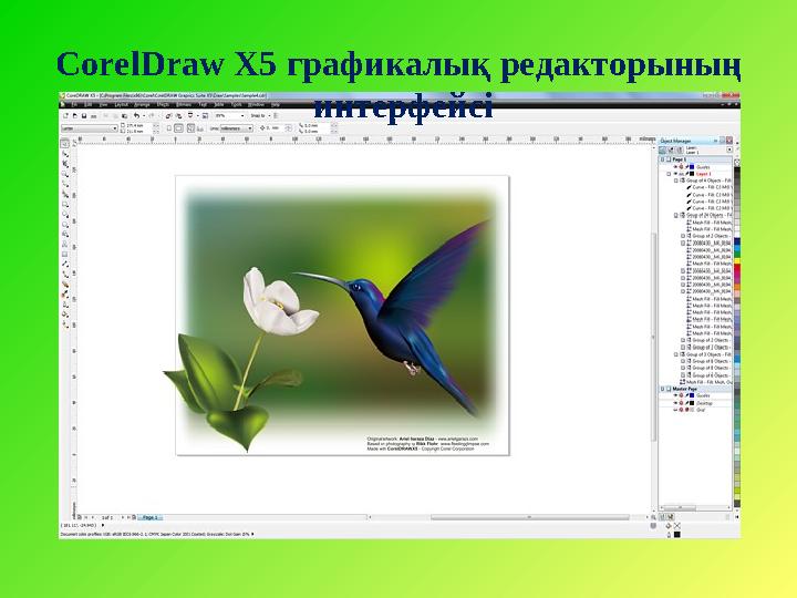 CorelDraw X5 графикалық редакторының интерфейсі