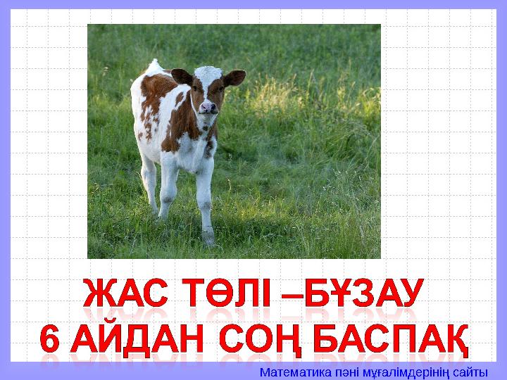 Математика пәні мұғалімдерінің сайты