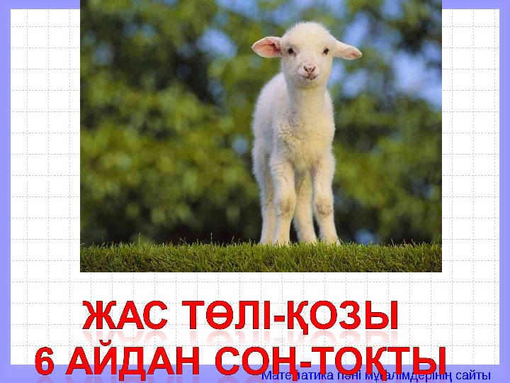 Математика пәні мұғалімдерінің сайты