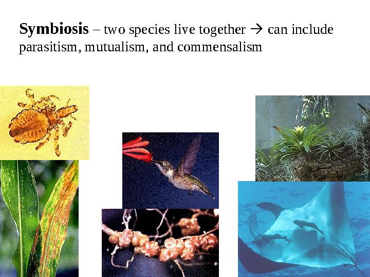 Symbiosis – two species live together  can include parasitism, mutualism, and commensalism