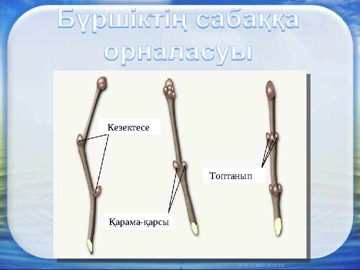 Кезектесе Қарама-қарсы Топтанып