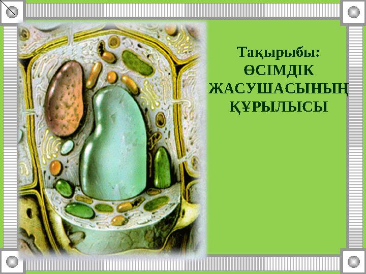 YouTube сайтындағы топтық секс ВКонтакте желісіндегі жалаңаш қыздардың суреттері