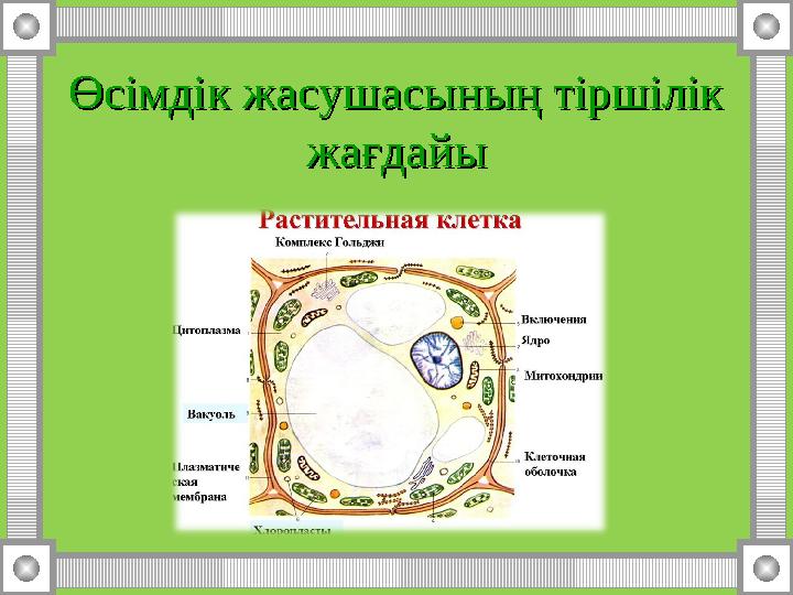 Өсімдік жасушасының тіршілік Өсімдік жасушасының тіршілік жағдайыжағдайы