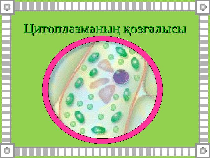 Цитоплазманың қозғалысыЦитоплазманың қозғалысы