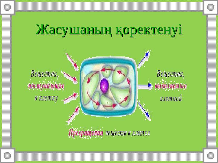 Жасушаның қоректенуіЖасушаның қоректенуі