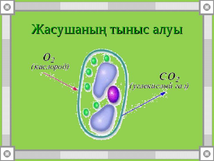 Жасушаның тыныс алуыЖасушаның тыныс алуы