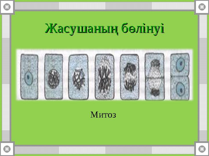 Жасушаның бөлінуіЖасушаның бөлінуі Митоз