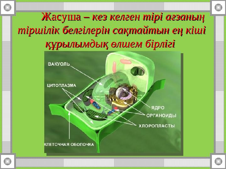 ЖасушаЖасуша – – кк ез келген тірі ағзаның ез келген тірі ағзаның тіршілік белгілерін сақтайтын ең кіші тіршілік белгілерін