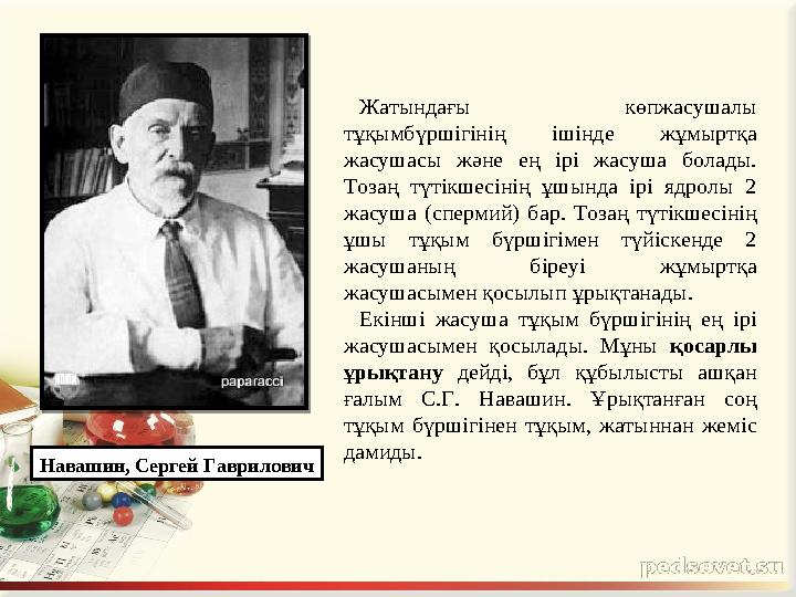 Жатындағы көпжасушалы тұқымбүршігінің ішінде жұмыртқа жасушасы және ең ірі жасуша болады. Тозаң түтікшесінің ұшында