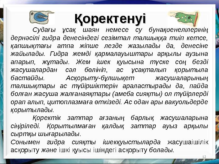 13Қоректенуі Қоректенуі Судағы ұсақ шаян немесе су бунақденелілерінің дернәсілі гидра денесіндегі сезімтал талшыққа