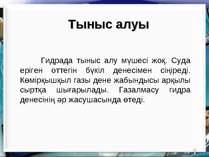 15Тыныс алуыТыныс алуы Гидрада тыныс алу мүшесі жоқ. Суда еріген оттегін бүкіл денесімен сіңіреді. Көмірқышқыл газы д
