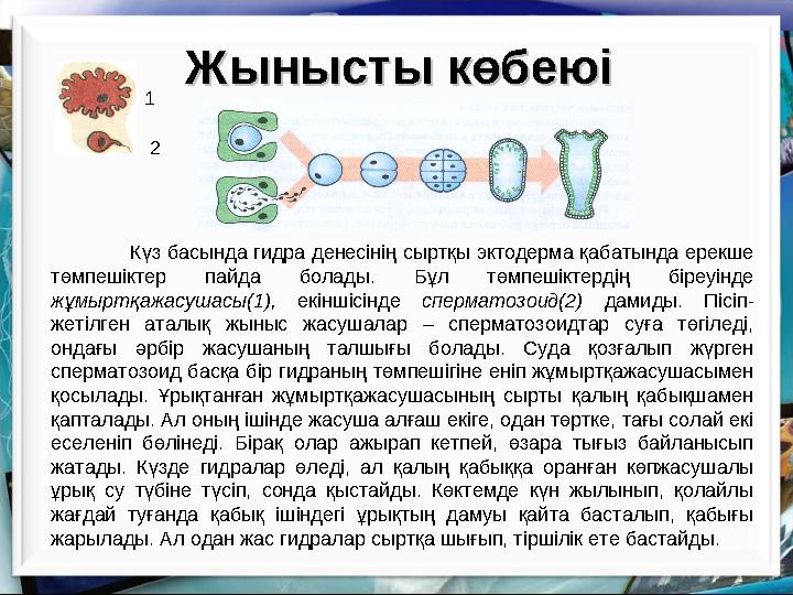 Мен оның есегіне менің мүшемді жұлып алдым