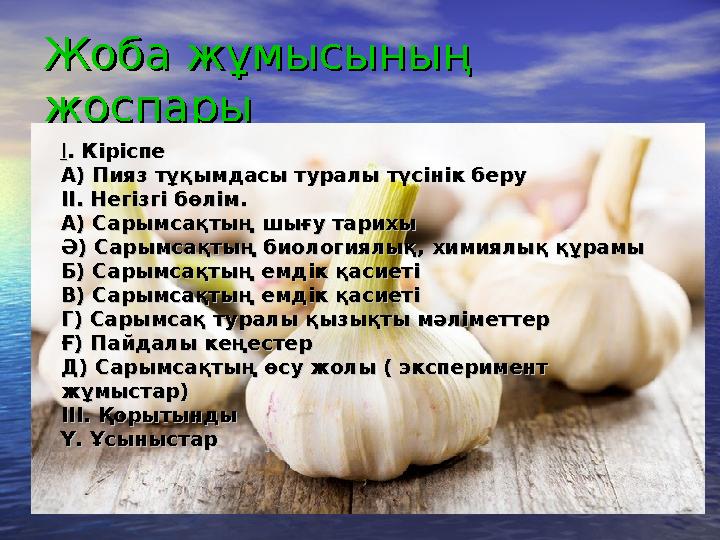 Жоба жұмысының Жоба жұмысының жоспарыжоспары ІІ . Кіріспе. Кіріспе А) Пияз тұқымдасы туралы түсінік беруА) Пияз тұқымдасы