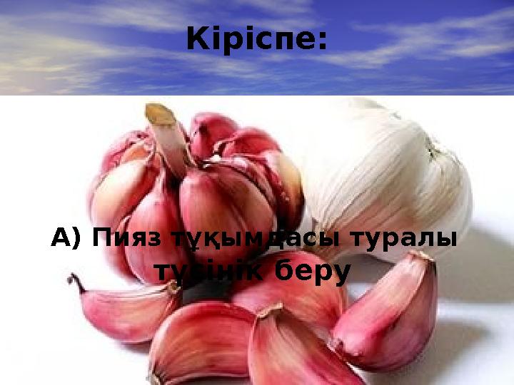 Кіріспе: А) Пияз тұқымдасы туралы түсінік беру