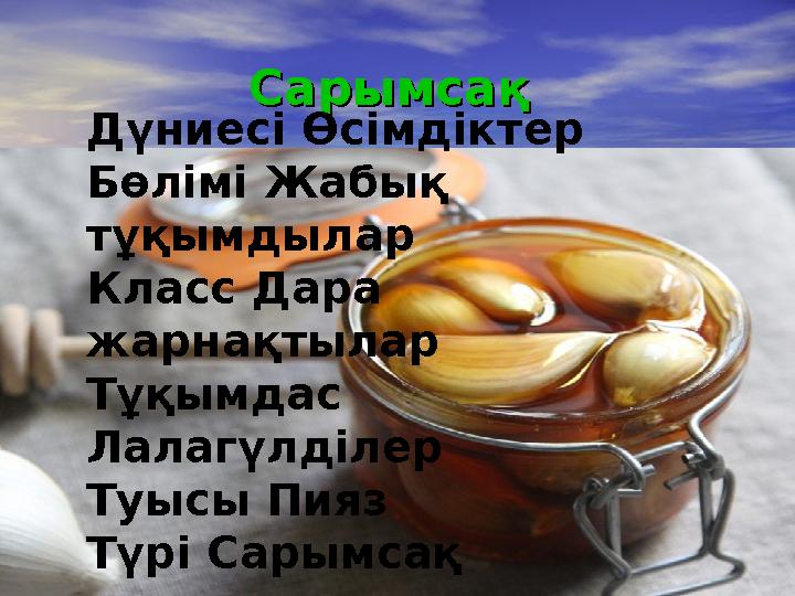 СарымсақСарымсақ Дүниесі Өсімдіктер Бөлімі Жабық тұқымдылар Класс Дара жарнақтылар Тұқымдас Лалагүлділер Туысы Пияз Т