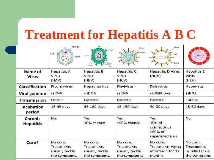 Treatment for Hepatitis A B C