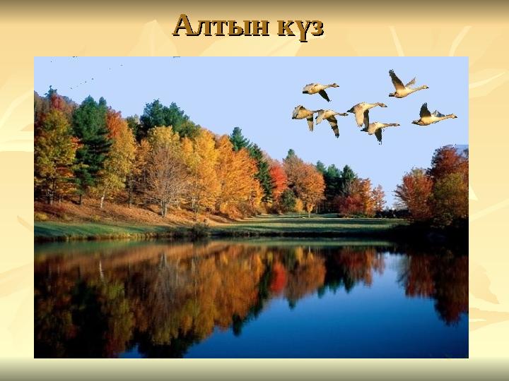 Алтын күзАлтын күз