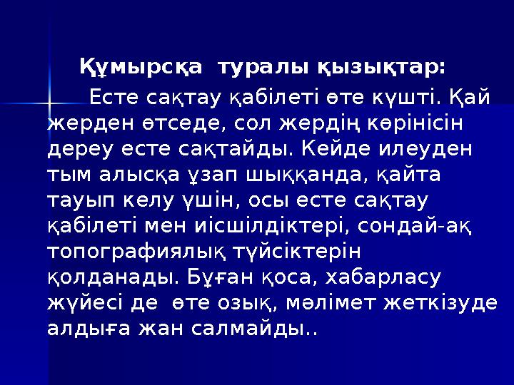 Құмырсқа туралы қызықтар: Есте сақтау қабілеті өте күшті. Қай жерден өтс еде , сол жердің көрінісін дереу есте сақт