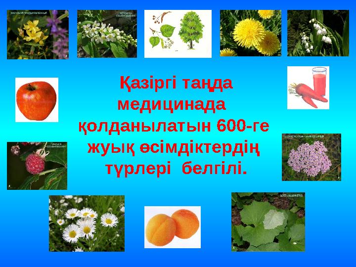 Қазіргі таңда медицинада қолданылатын 600-ге жуық өсімдіктердің түрлері белгілі.