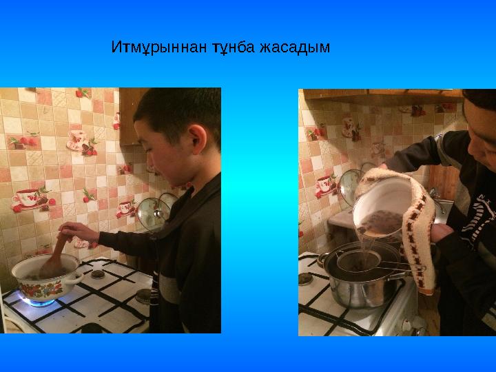 Итмұрыннан тұнба жасадым