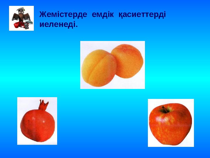 Жемістерде емдік қасиеттерді иеленеді.
