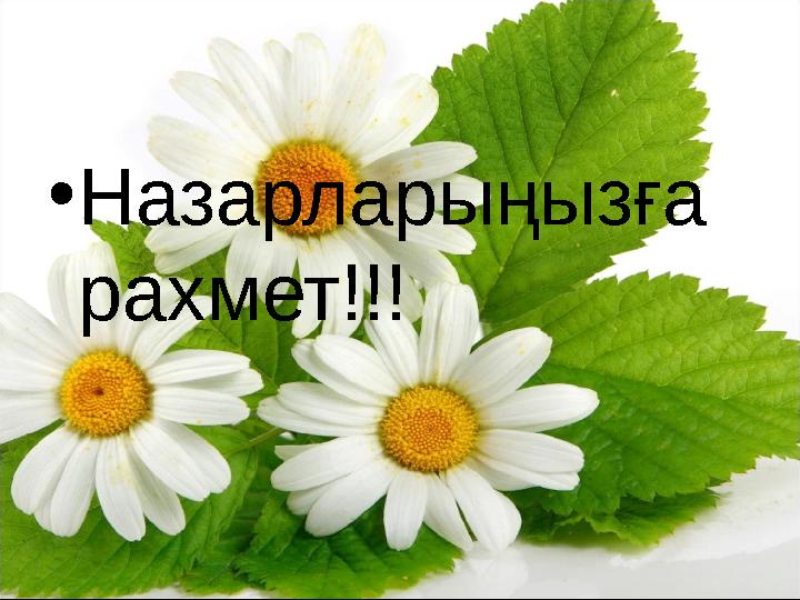 • Назарларыңызға рахмет!!!